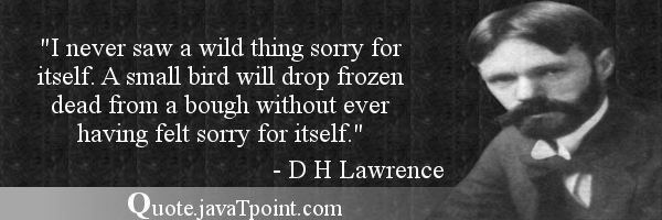 D H Lawrence 6289