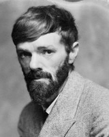 D H Lawrence Image 17